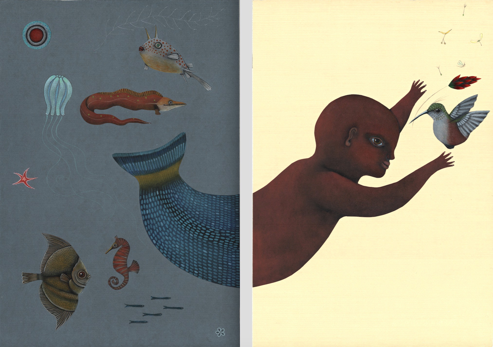 Illustrazione di Arianna Papin: Anima e corpo nascita a Lampedusa